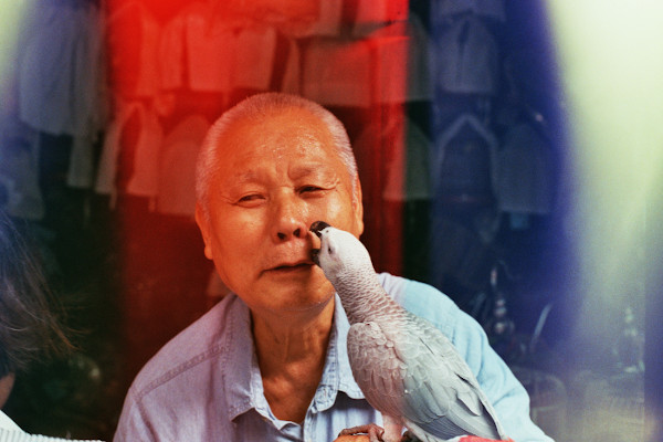 Hong Kong Birds Market