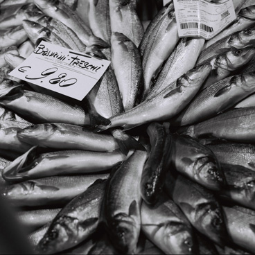 Mercato del Pesce al Minuto, Venezia